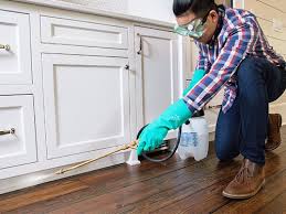 Best Real Estate Pest Inspections  in Huntertown, IN